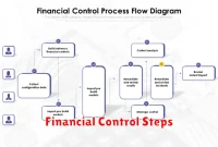 Financial Control Steps Financial Control Steps
