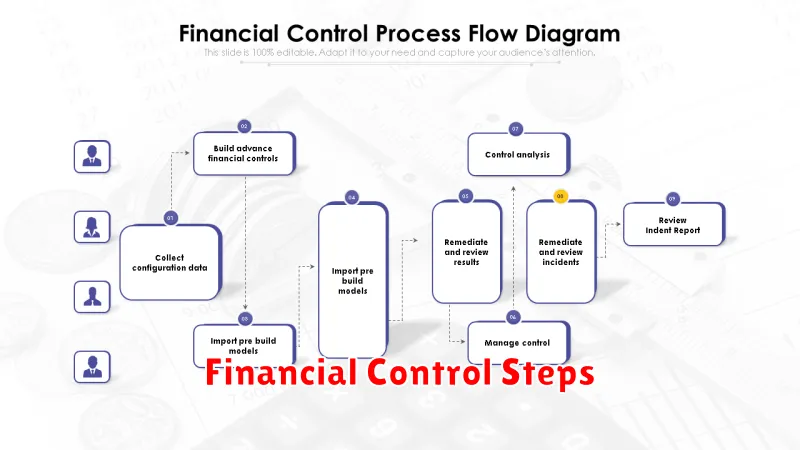 Financial Control Steps